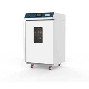Small-Sized Ethylene Oxide Sterilizer