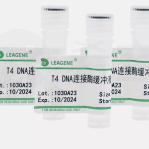 T4 DNA Ligase Buffer (10×) & T4 DNA Ligase Reaction Reagent